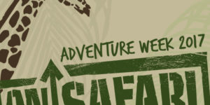 AW-Gracewire-graphic AW-Gracewire-graphic